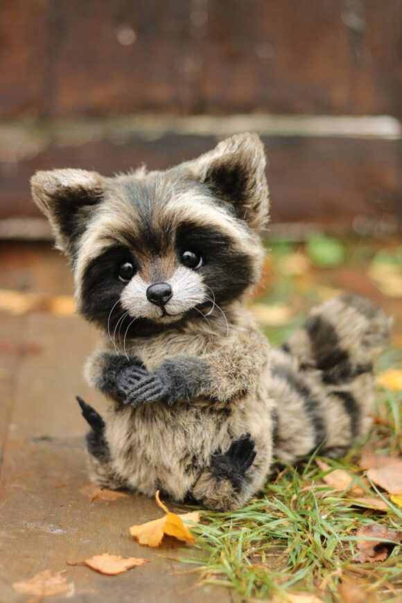 Midnight Raccoon Stuffed Animal