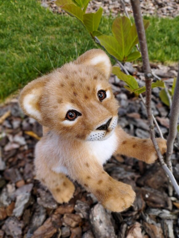 Cuddly Lion Stuffed Animal