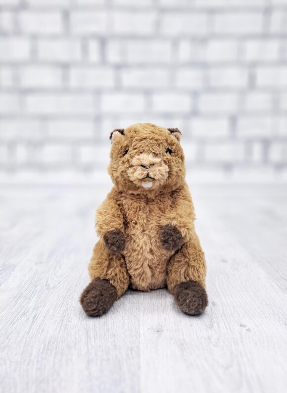 River Beaver Stuffed Animal