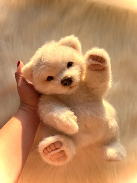 Premium Bear Plush
